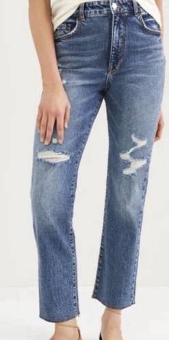 Pilcro  Anthropologie Vintage Straight Distressed Jeans Size 25