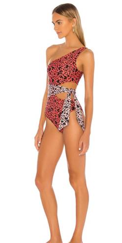 Beach Riot One Piece Leopard Swim