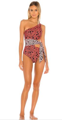 Beach Riot One Piece Leopard Swim