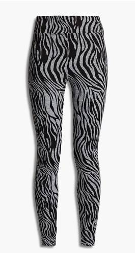 Koral Zebra Stripe Leggings