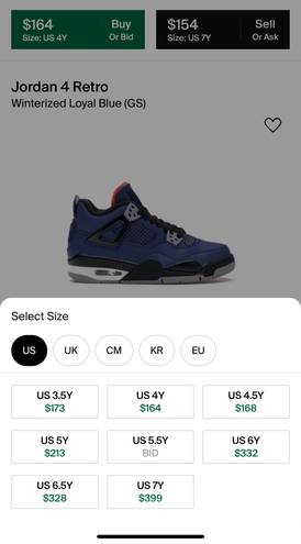 Nike Jordan 4 Shoes