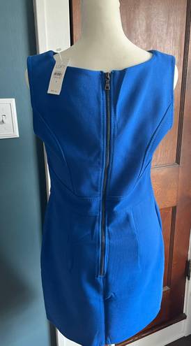 Loft NWT  Shift Dress