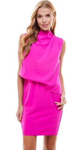 TCEC | NWOT | Asymmetrical High Neckline Dress | M | Magenta | CD01994