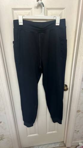 Fabletics On The Go Cold Weather Joggers