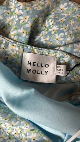 Hello Molly Dress