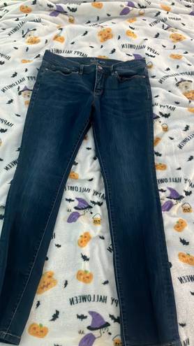 DKNY Shimmery Soho Skinny Jeans