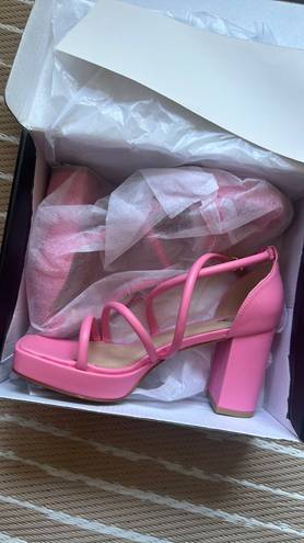 Windsor Pink Heels