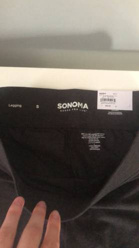 Sonoma Leggings