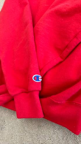 Champion Georgia  Hoodie