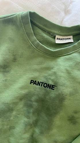 ZARA New  Pantone Crewneck And Shorts Set