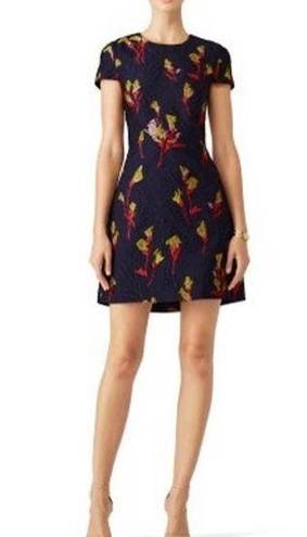 Jason Wu  Floral Fields Mini Dress Size 0