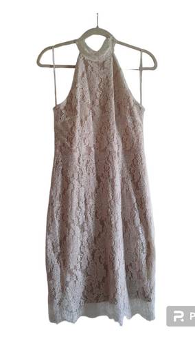 Sans Souci  Lace Sleeveless Halter Bodycon Dress 