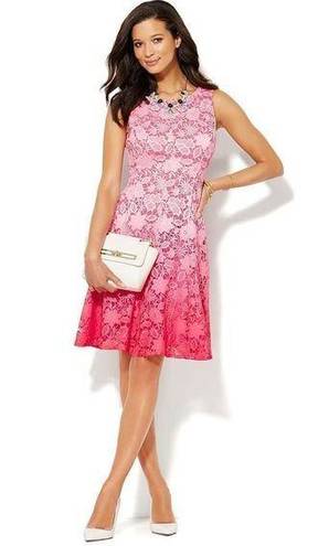 New York And Company  Women's Laced Floral Fit & Flare Dress Ombre Pink Size 4