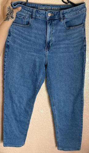 American Eagle mom straight jeans size 10R