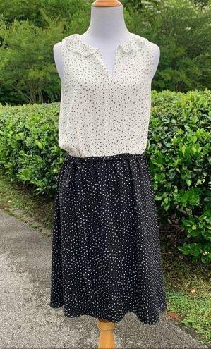 Loft  Polka Dot Black White Easy Wear Ruffle Neck Career Church Dress 6