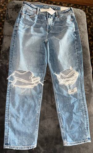 American Eagle Strigid Ripped Mom Jean