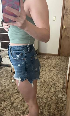 Abercrombie & Fitch Curve Love Shorts