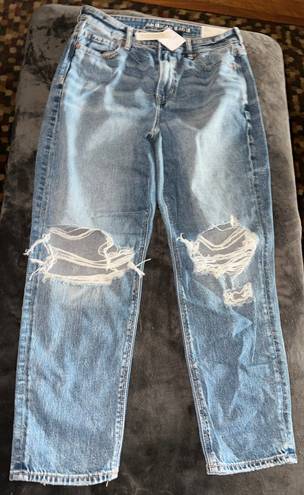 American Eagle Strigid Ripped Mom Jean