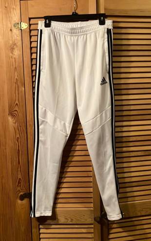 Adidas White  Sweat Pants