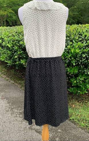 Loft  Polka Dot Black White Easy Wear Ruffle Neck Career Church Dress 6