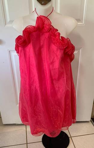 Main Strip L  Pink Organza Dress