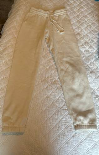 Aritzia Tna Joggers