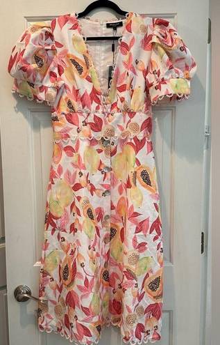 Beulah NWT  Style Papaya dress Size L