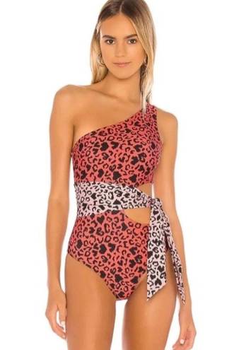 Beach Riot One Piece Leopard Swim