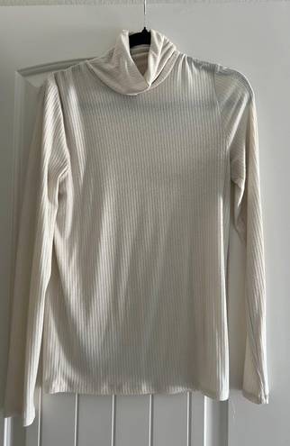 Madewell Turtleneck