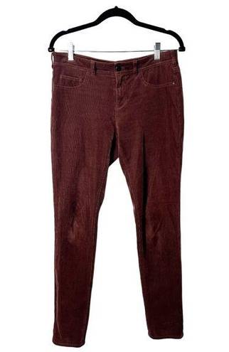 Pilcro  - Brown Fit/Serif Micro Corduroy Pants - Sz. 29