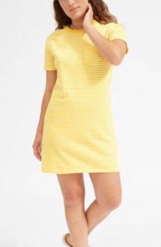 Everlane Yellow White Striped Tee Shirt Dress