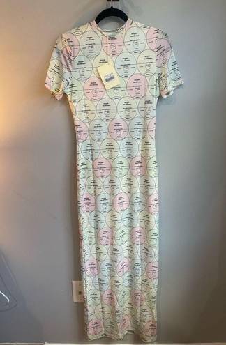 Peppermayo NWT  Exclusive - Into the City Mesh Maxi Dress - Pastel Mixtape Size 6