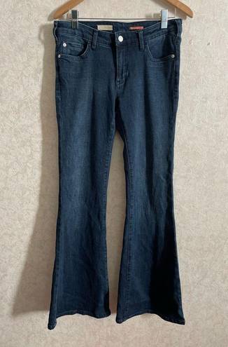 Pilcro  women's size 28 jeans