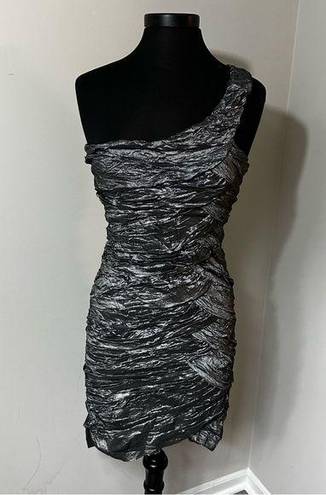 Daisy  Textured Silver Dress in Size Large