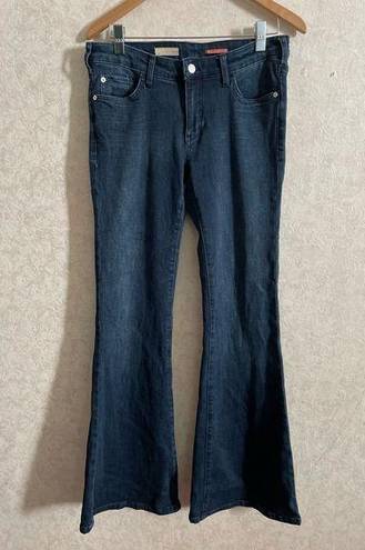 Pilcro  women's size 28 jeans