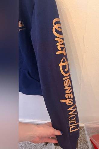 Disney Walt  World 50th Anniversary Zip up Hoodie