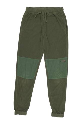 The North Face the north fleece fleece joggers / sweatpants 