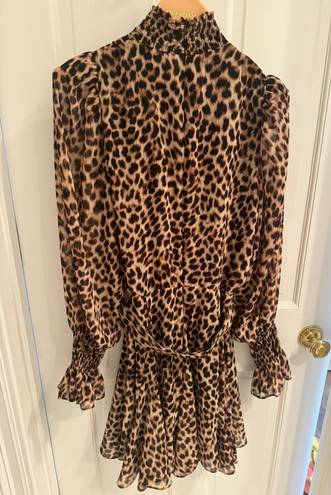 ZARA Cheetah Print Dress