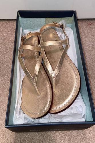 Bernardo Metallic Gold Sandals 