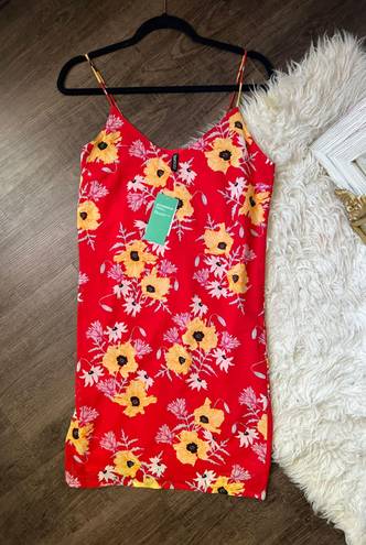 Divided NWT 8 Floral Dress 