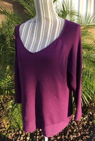 Coldwater Creek Coldwater Purple XL (16)Creek Sweater Top