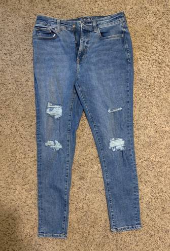 Arizona Jean Company Arizona Skinny Jeans