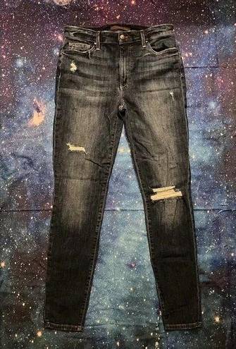 Joe’s Jeans Joe's Tandy High Rise Skinny Jeans 30w