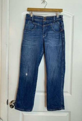 Pilcro  High Rise Medium Wash Tapered Waist Distressed Cropped Jeans Size 29