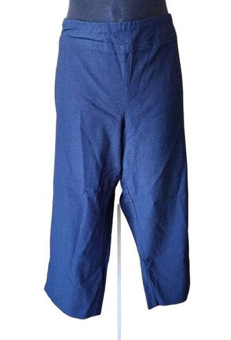 Eliane Rose  Blue Capris (18W)