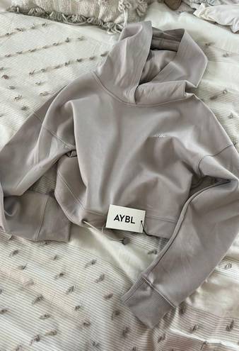 AYBL Grey Hoodie