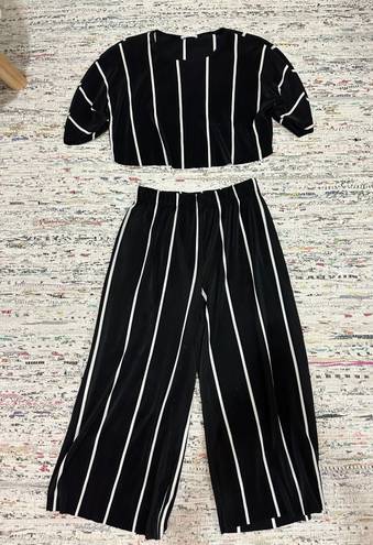 ZARA 2 Piece Short Sleeve + Wide leg pant