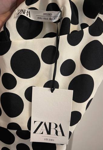 ZARA Polka Dot Dress