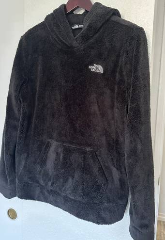 The North Face sherpa hoodie