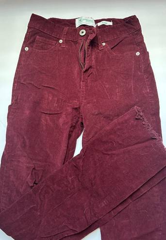 Celebrity Pink Burgundy Suede Flare Bellbottom Jeans